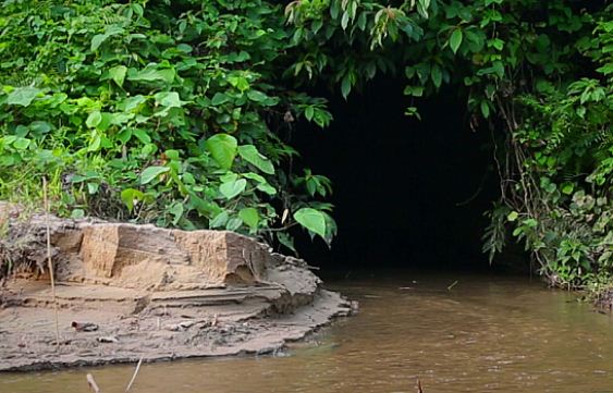 অবারিত বিস্ময় বুদবুদি ছড়া