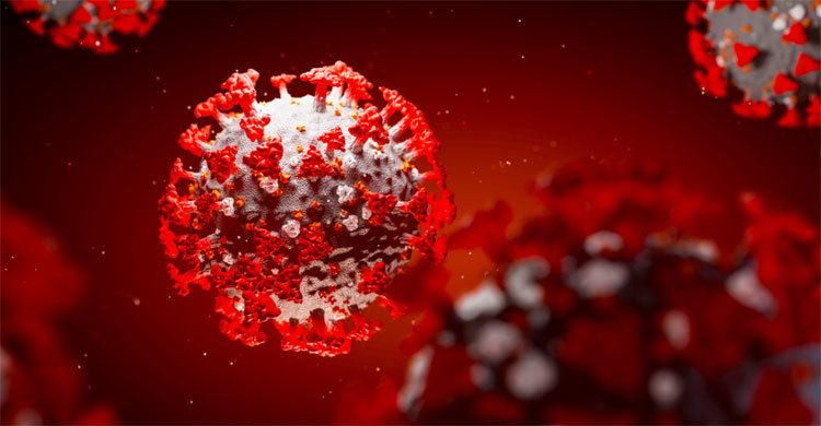 দশ দিনে আরও হাজার মৃত্যু দশ দিনে আরও হাজার মৃত্যু