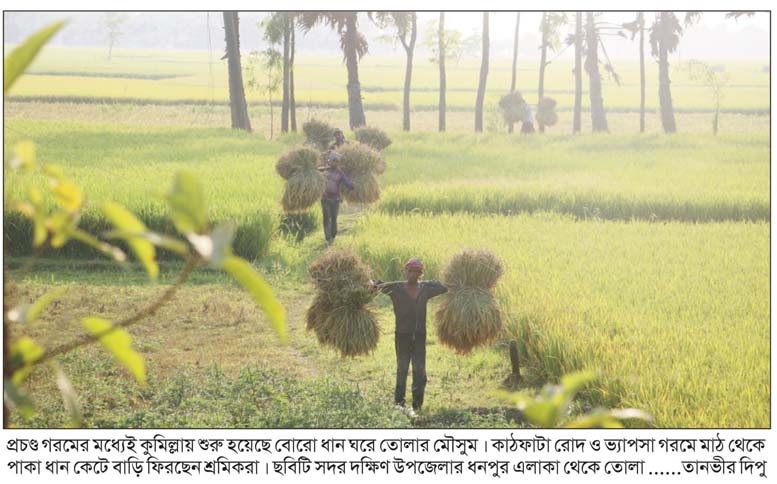 রোদ আর ভ্যাপসা গরমে জীবন হাসফাঁস