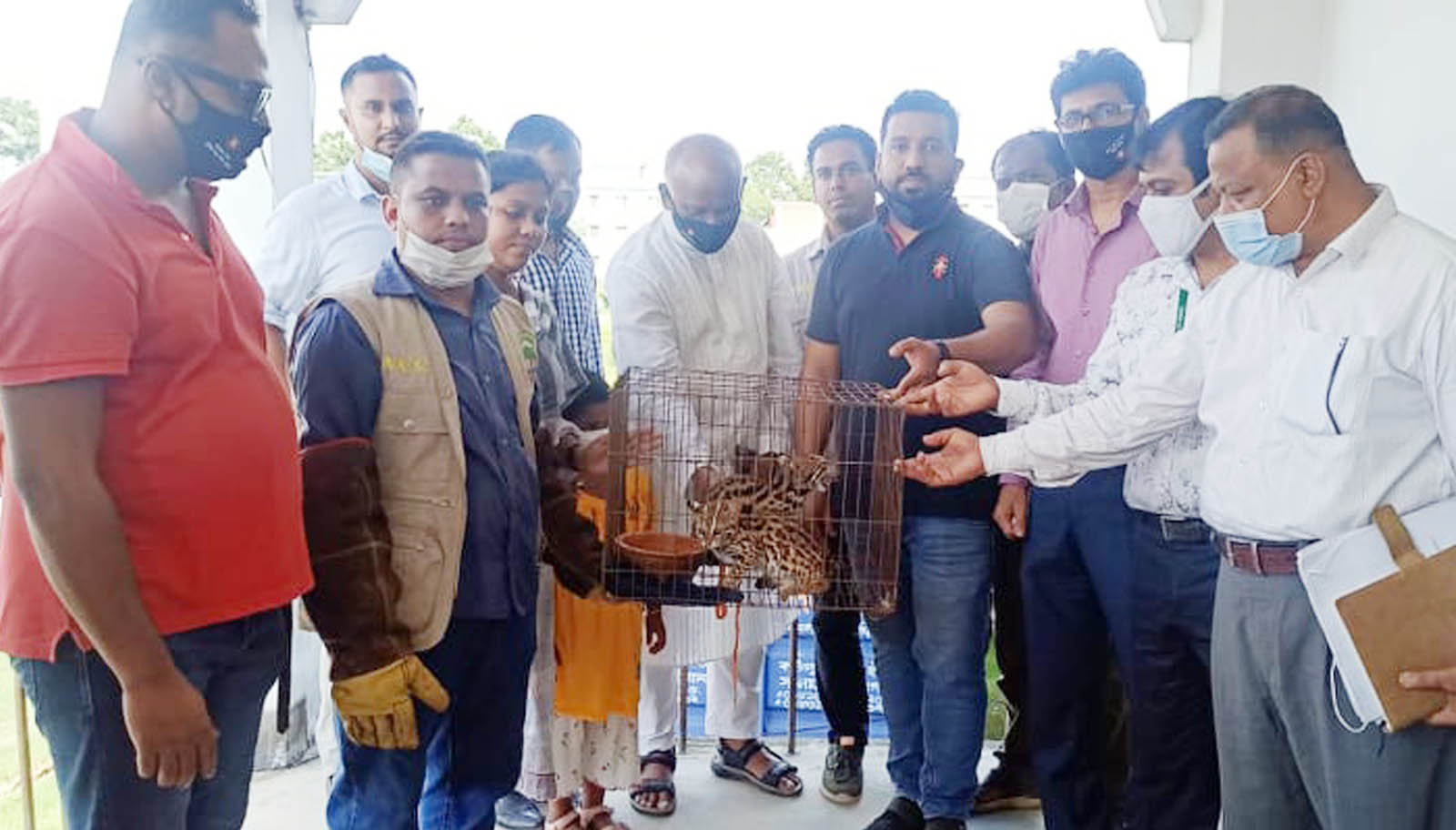 ‘বাঘ’ বিক্রি করতে এসে জরিমানা ৫০ হাজার টাকা ‘বাঘ’ বিক্রি করতে এসে জরিমানা ৫০ হাজার টাকা