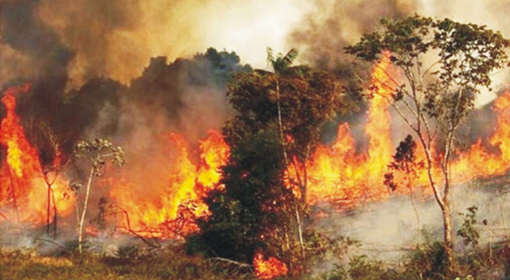   আগুন পুরোপুরি নিয়ন্ত্রণে, ৩ দিন অবজারভেশনে থাকবে সুন্দরবন