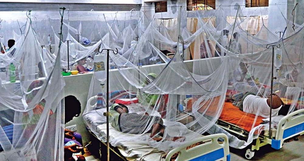  ডেঙ্গু নিয়ে হাসপাতালে ৬ রোগী