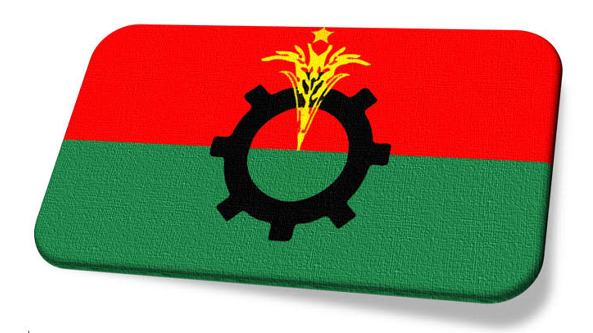 উপজেলা পরিষদ নির্বাচনে অংশ নেয়ায় বিএনপির ৫১ নেতা বহিষ্কার 