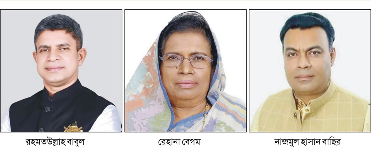 চৌদ্দগ্রামে বাবুল, হোমনায় রেহানা, নাঙ্গলকোটে বাছির বিজয়ী