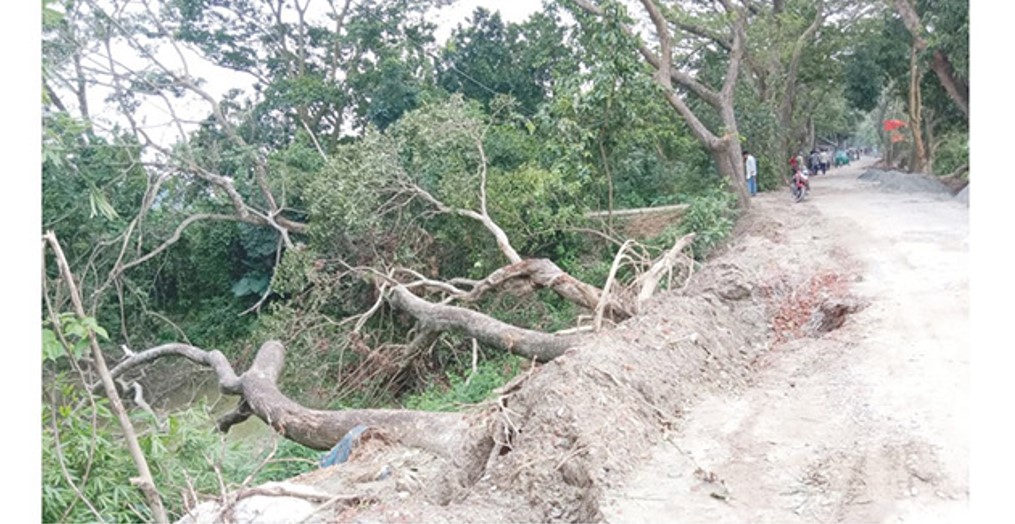  বন-বিভাগের অর্ধশতাধিক গাছ উপড়ে এলজিইডি'র রাস্তা সংস্কারের অভিযোগ উপজেলা প্রকৌশলী'র বিরুদ্ধে 
