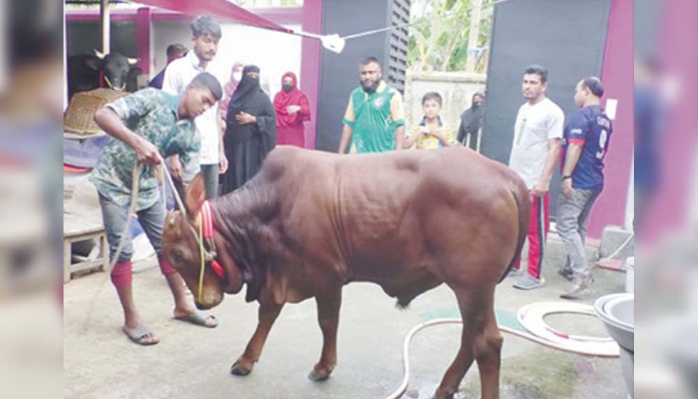 হাটের ভিড় এড়াতেই খামারে ক্রেতাদের ভিড়