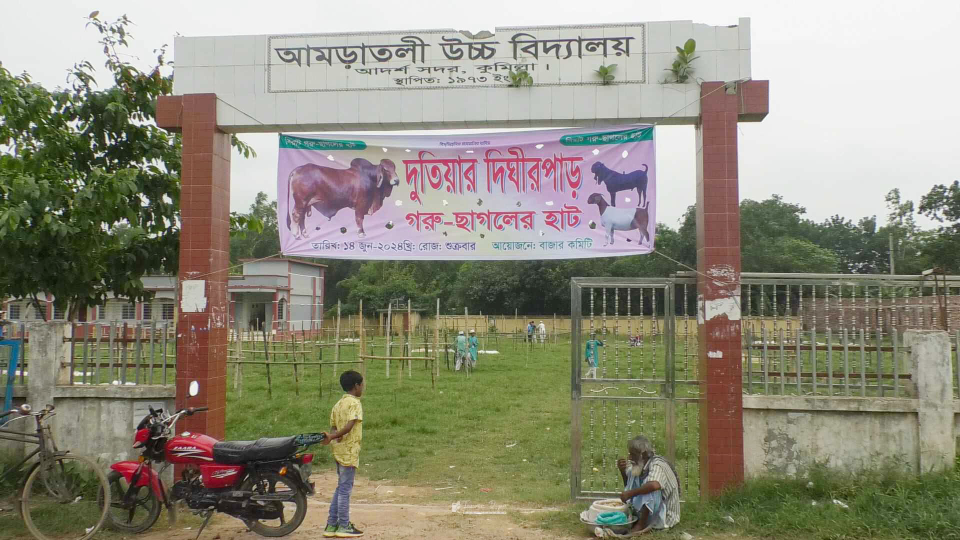 নির্দেশনা অমান্য করে কুমিল্লায় স্কুল মাঠে কোরবানির পশুর হাট
