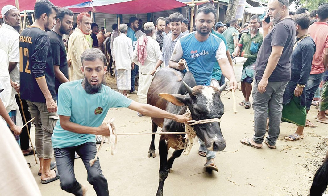  কোরবানির পশুর হাটে শেষ মুহূর্তে জমজমাট বেচাকেনা