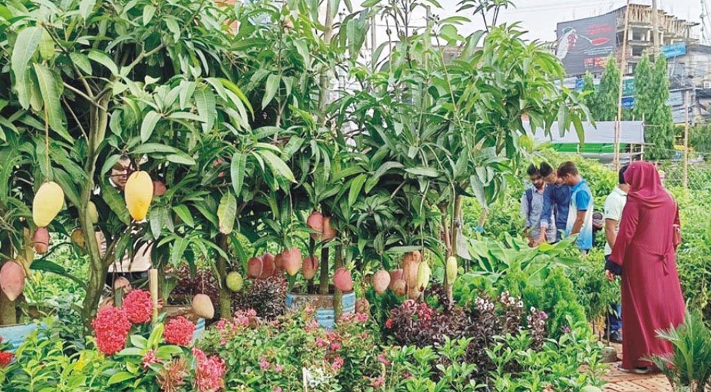  কুমিল্লায় বৃক্ষমেলা উদ্বোধন আজ 