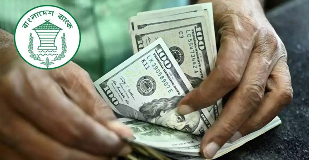   ডলার এখন  ‘পাগলা ঘোড়া’
