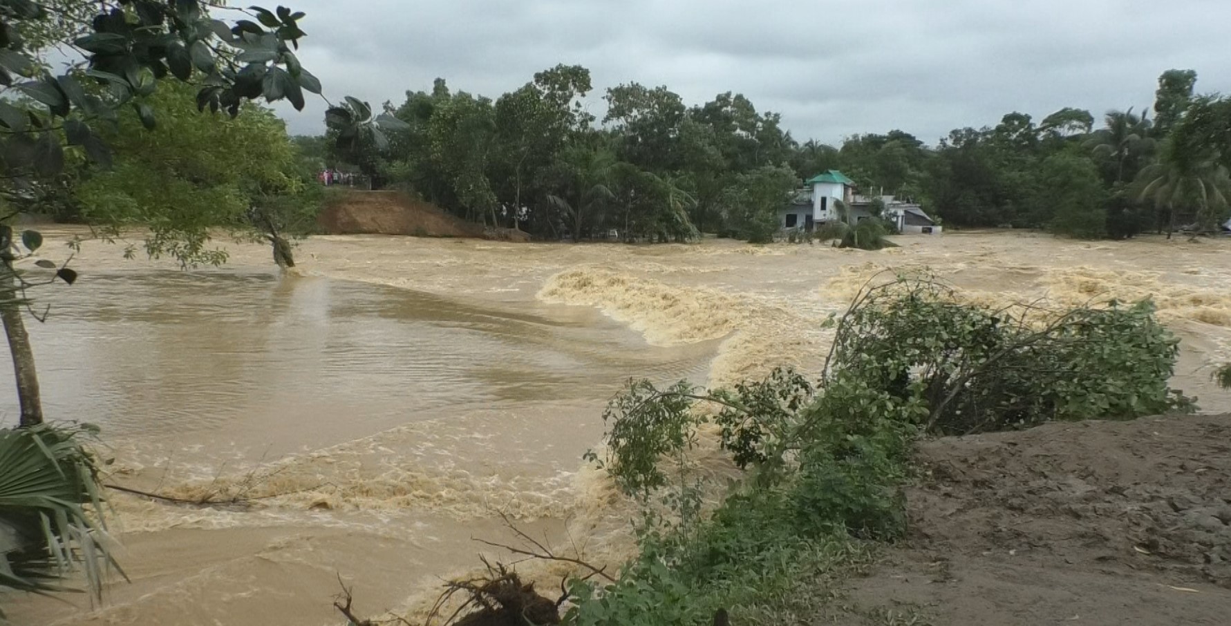 কুমিল্লায় গোমতীর ভাঙন ৩০০ ফুট ছাড়িয়েছে, প্লাবিত হচ্ছে গ্রামের পর গ্রাম 