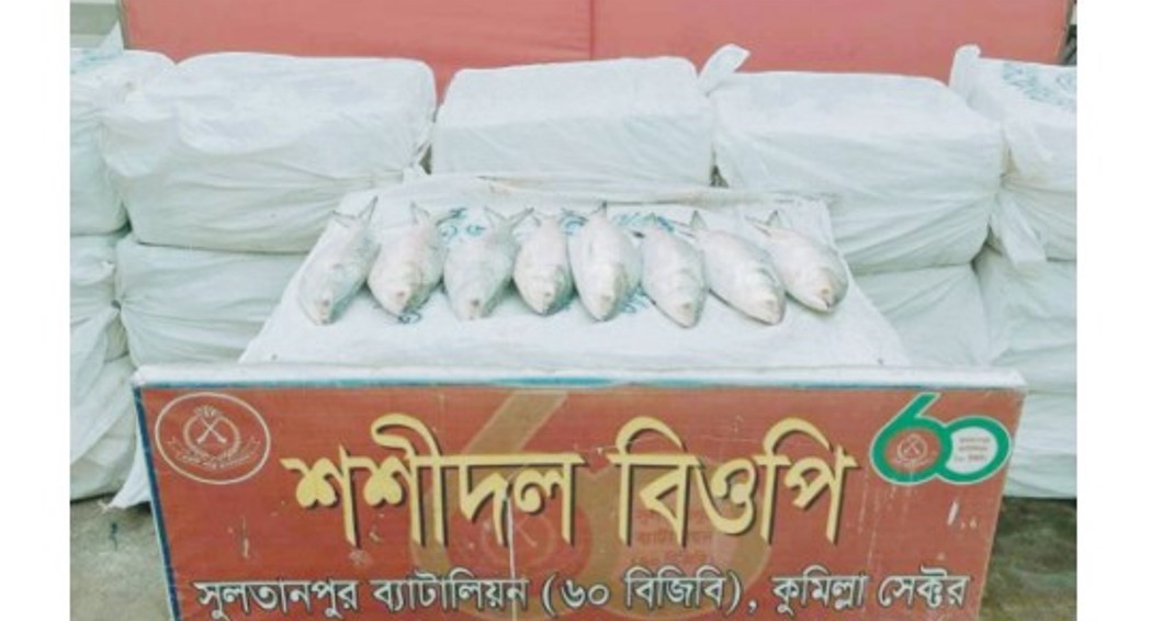   ভারতে পাচারকালে কুমিল্লা সীমান্তে  আরো ৪৪০ কেজি ইলিশ জব্দ 