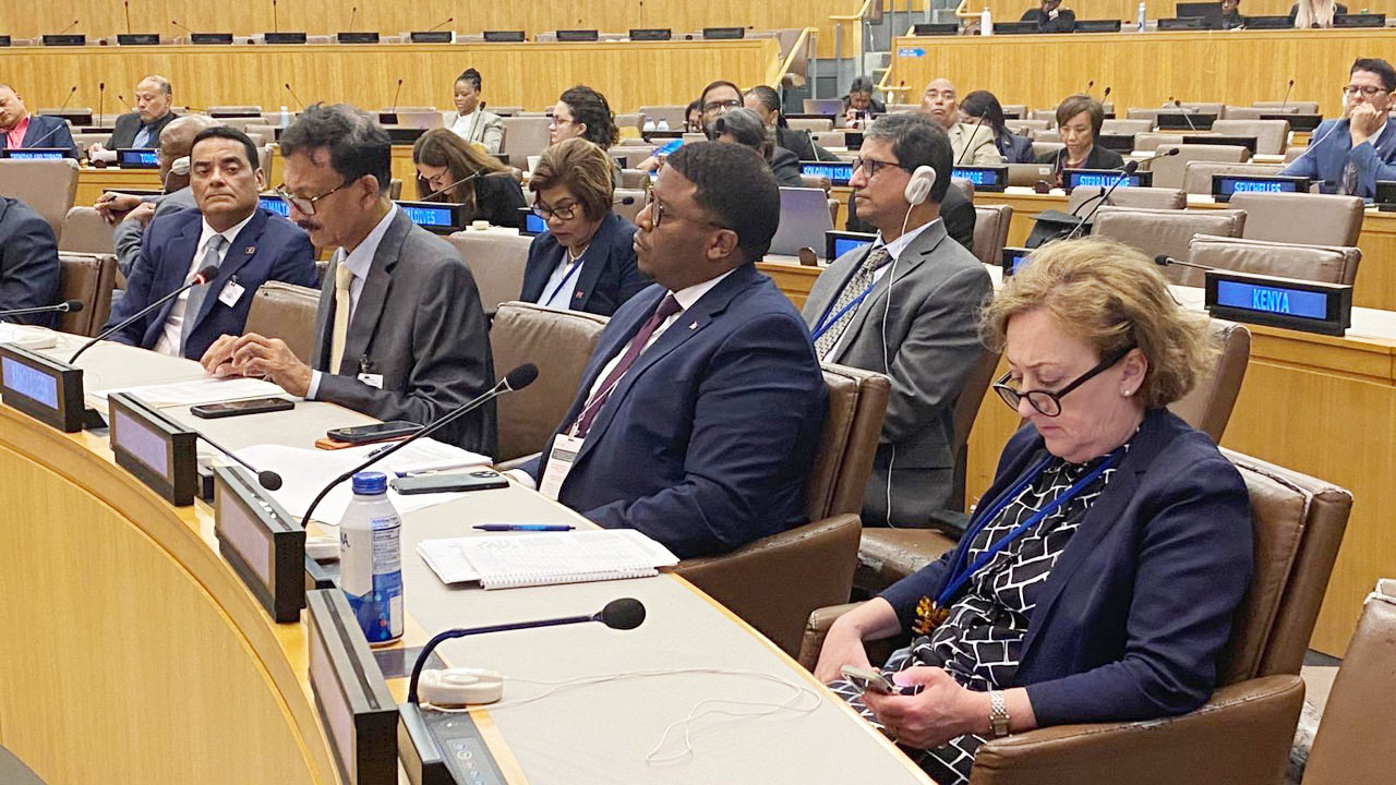 রোহিঙ্গা সংকট বাংলাদেশের একার উদ্বেগের বিষয় নয়