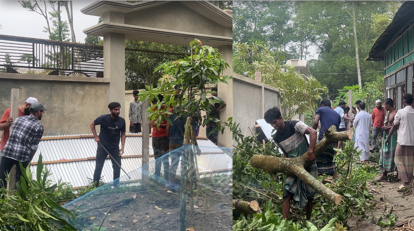 কুমিল্লার দেবিদ্বারে পুলিশ সদস্যের বিরুদ্ধে বসত বাড়ির বেড়া ভাঙচুর ও গাছপালা কাটার অভিযোগ