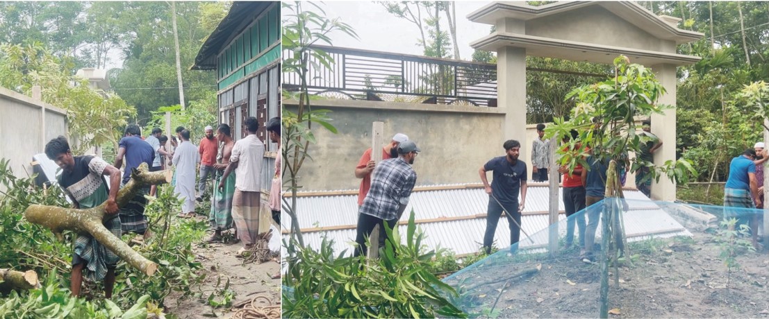  দেবিদ্বারে ভাঙচুর ও বাড়ির গাছ কাটার অভিযোগ  