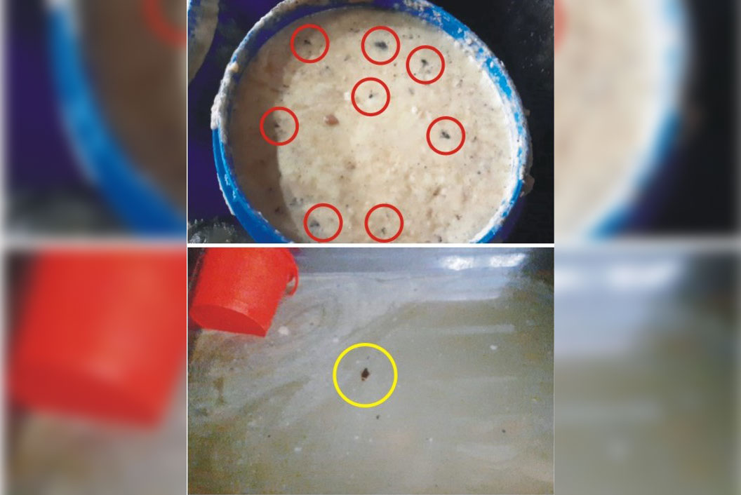 মাতৃভান্ডারের রসমালাইয়ে মাছি-তেলাপোকা!