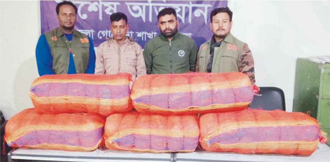 ক্যাভার্ড ভ্যানের পাটাতন কাটতেই  বেরিয়ে এলো দেড় মন গাঁজা