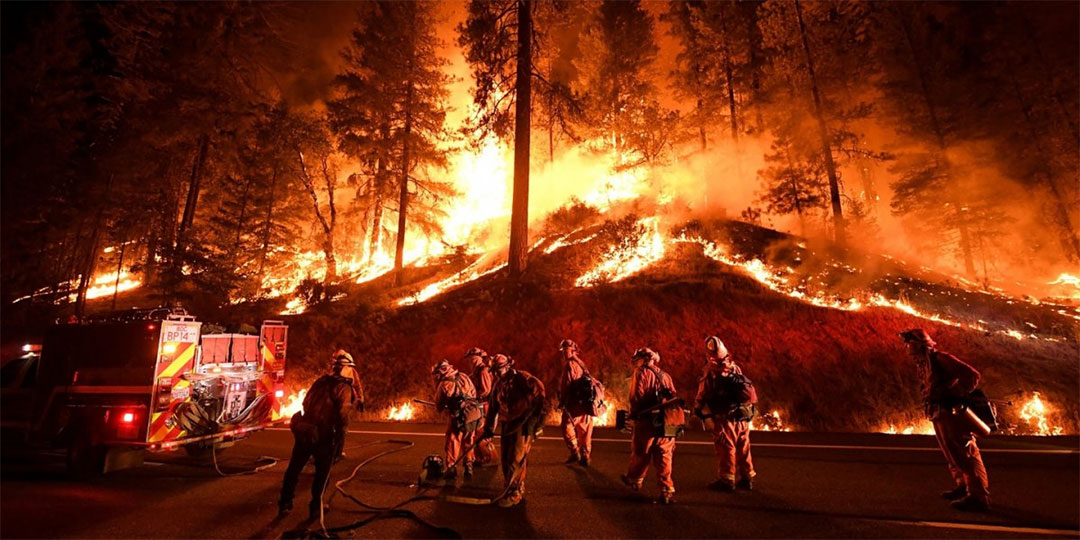  দাবানল দেখালো মানুষ কতটা অসহায় 