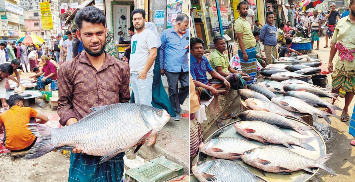  নববর্ষে কুমিল্লার রাজগঞ্জে  ঐতিহ্যবাহী মাছের মেলা 