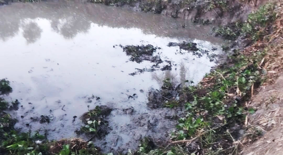  লালমাইয়ে ছিলোনিয়া দিঘি থেকে মানুষের  মাথার খুলি ও হাড়  উদ্ধার 