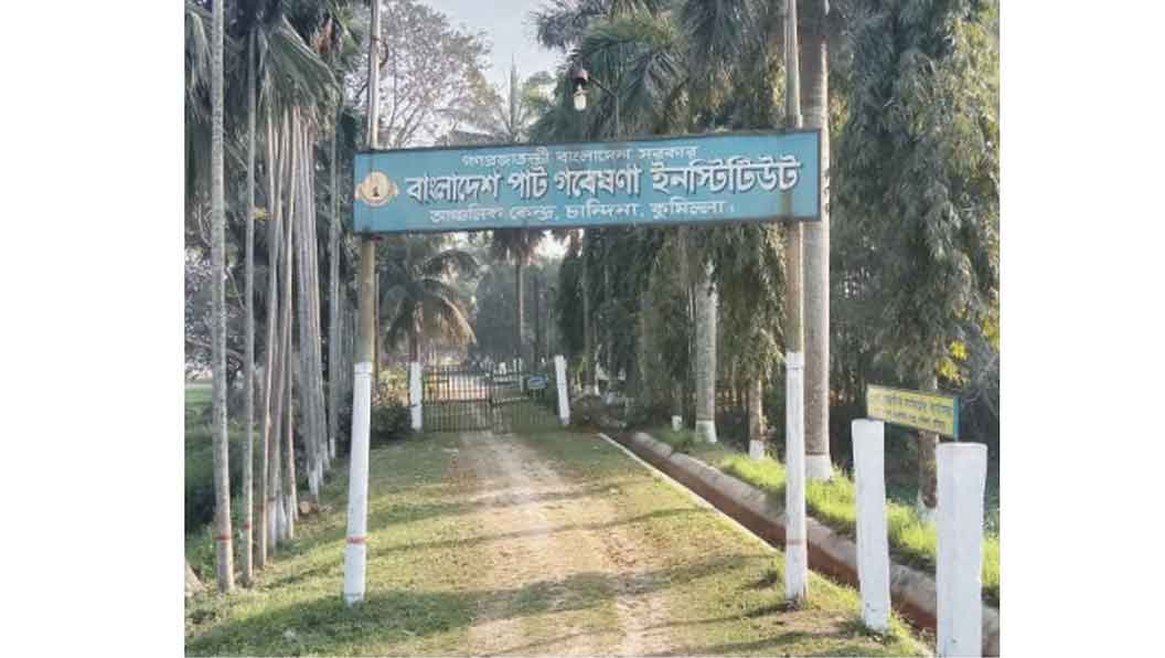  চান্দিনায় বিদ্যুৎস্পৃষ্টে পাট গবেষণা কেন্দ্রের  নিরাপত্তা কর্মীর মৃত্যু 