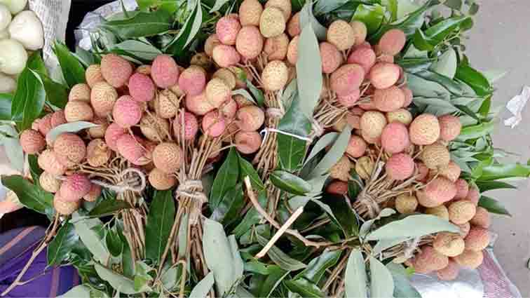  চান্দিনায় কেজি দরে  বিক্রি হচ্ছে লিচু!  