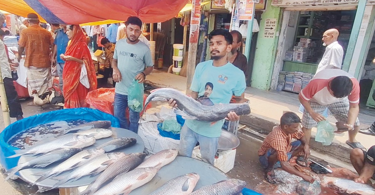   নববর্ষে কুমিল্লায় বিশাল মাছের মেলা 