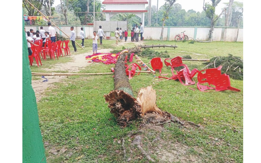   বুড়িচংয়ে এসএসসি  পরীক্ষার্থীদের বিদায় অনুষ্ঠানে  গাছ উপড়ে ৩ শিক্ষার্থী আহত