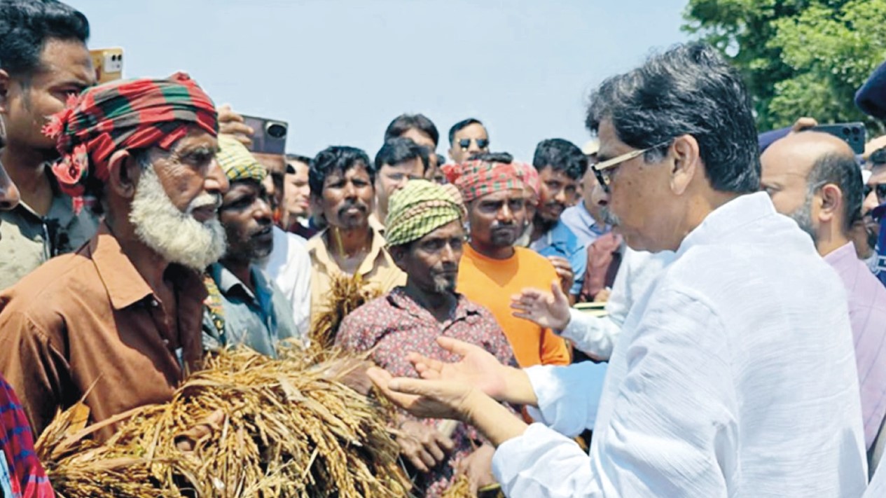  আমিও কৃষক, আমার ধানটা  এরকম পচলে বুঝতাম কত  কষ্ট: মন্ত্রী আমিন উর রশিদ