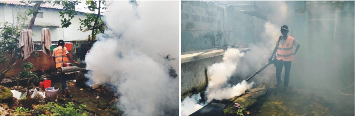  কুমিল্লা নগরীর বিভিন্ন  এলাকায় মশক  নিধন কার্যক্রম