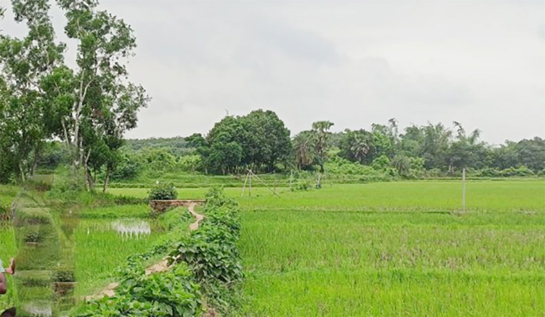 কুমিল্লা সীমান্তের অর্ধশতাধিক এলাকা দিয়ে ঢুকছে মাদক