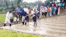  বন্যায় ক্ষতিগ্রস্ত ৫ জেলার  কৃষকদের ধানের বীজ-চারা দেওয়া হবে: কৃষিমন্ত্রী