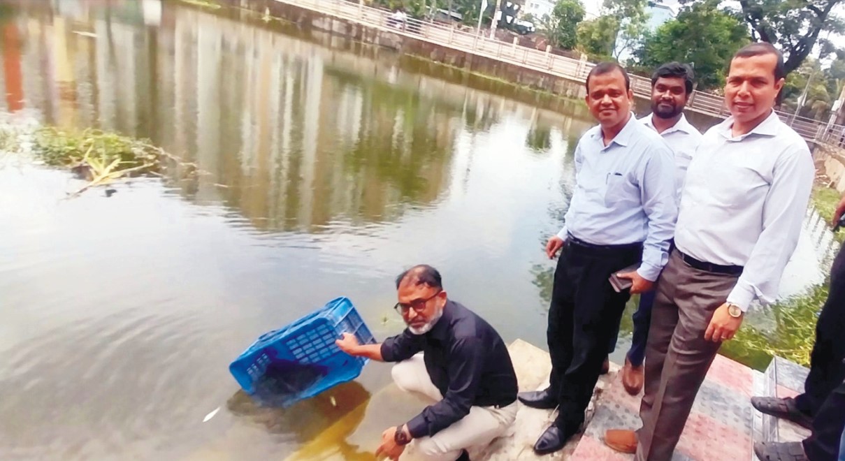   কুমিল্লার আদালতপুকুরে মাছের পোনা অবমুক্ত