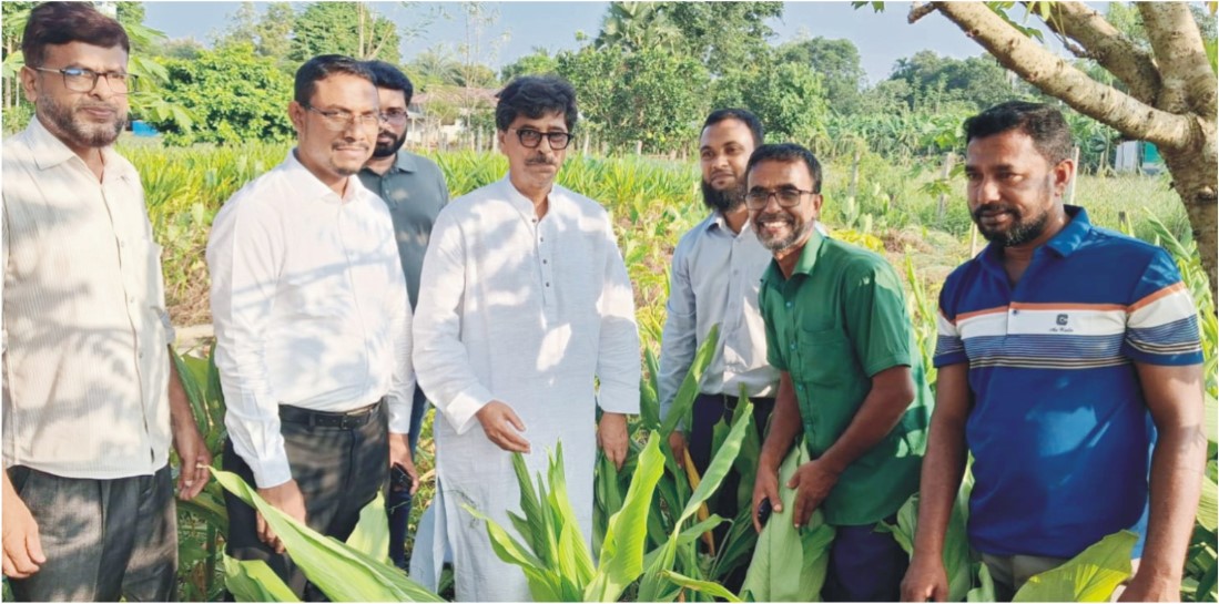 কৃষকের আঙ্গিনায় কৃষিমন্ত্রীআমিন উর রশিদ ইয়াছিন