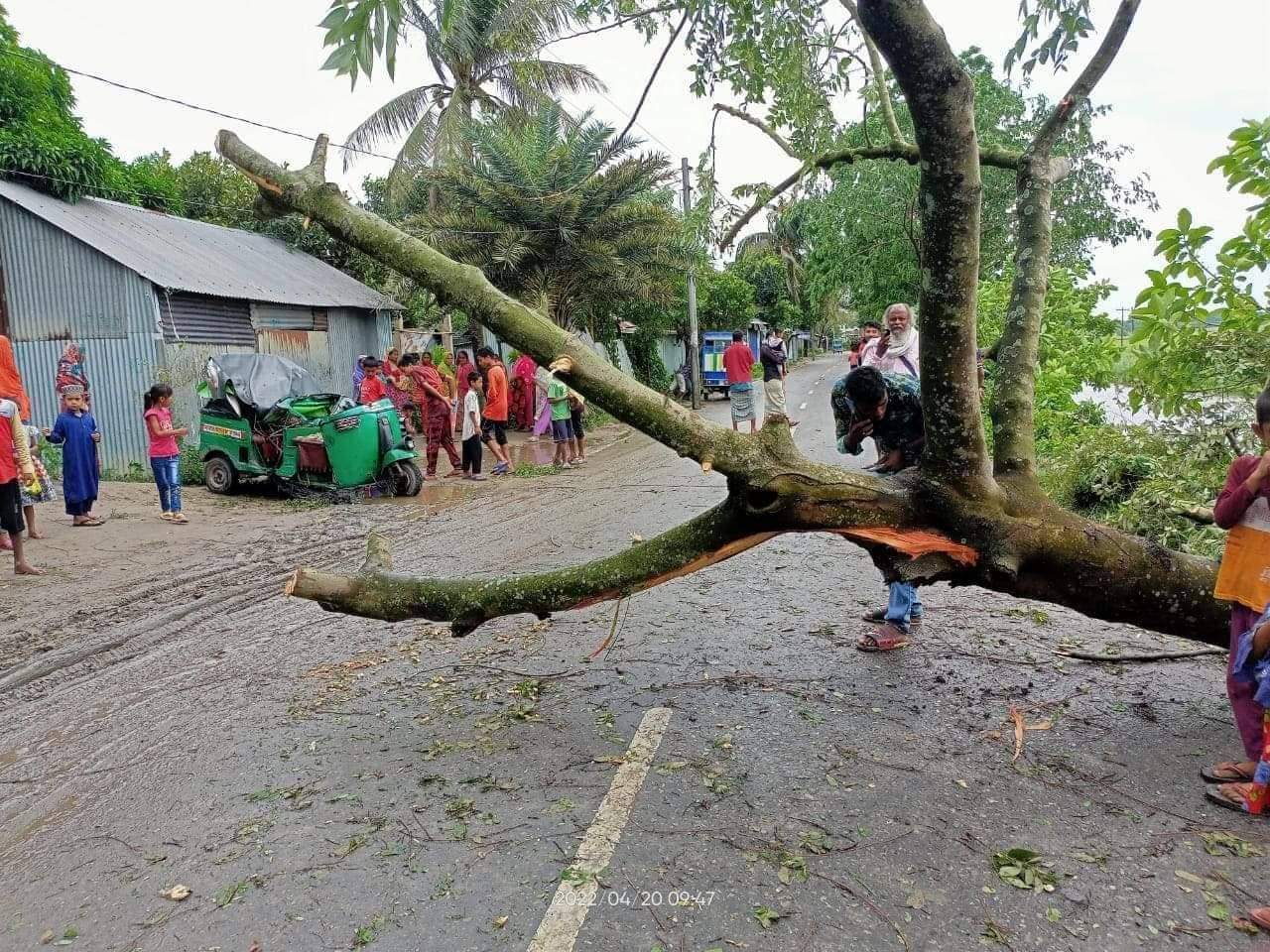 কুমিল্লায় বৈশাখী ঝড়ে গাছ পড়ে নিহত ১, আহত ৪