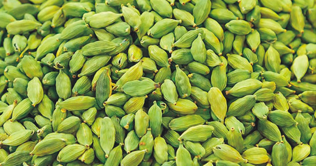   এলাচের দামে পাইকারি-খুচরায় বিস্তর ফারাক