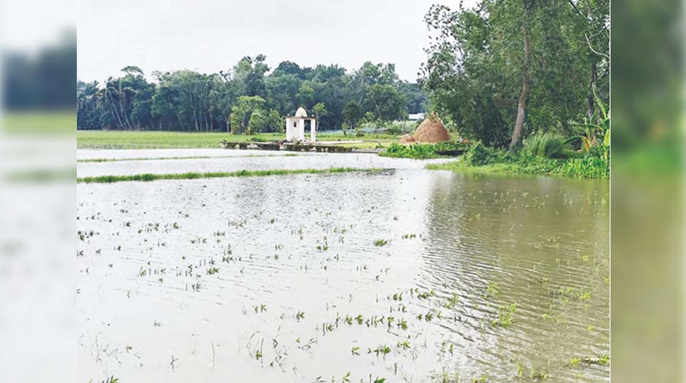  বৃষ্টি আসলেই পানিবন্দি হয় আড়াই শতাধিক পরিবার 