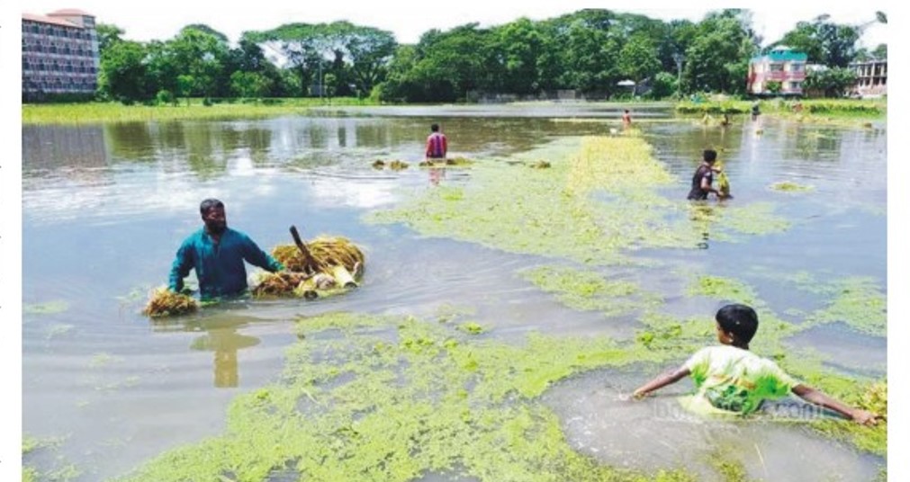  ব্রাহ্মণপাড়া বন্যায় শতকোটি টাকার ফসল বিনষ্ট 