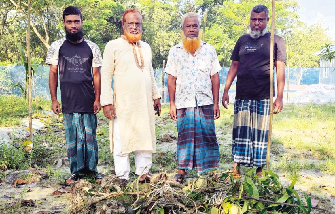  দেবিদ্বারে বাগানের শতাধিক গাছের চারা  কেটে ফেলে দুবৃর্ত্তরা 