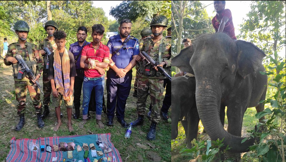 কুমিল্লায় হাতি দিয়ে চাঁদাবাজির অভিযোগে হাতিসহ দুইজন আটক