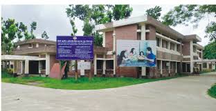   ব্রাহ্মণপাড়ায় পাগলা কুকুরের কামড়ে ৫ শিশু আহত 