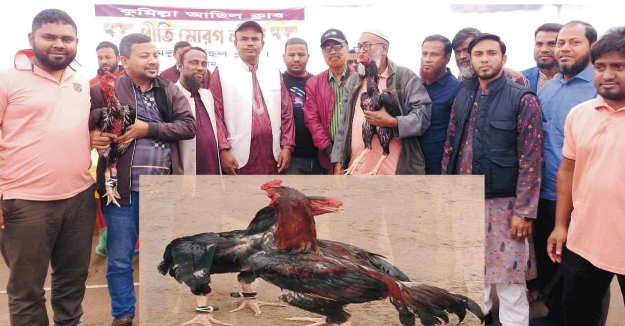 কুমিল্লা আছিল ক্লাব আয়োজনে  প্রীতি মোরগ  লড়াই খেলা