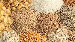  বিশ্বে কমেছে খাদ্যপণ্যের দাম