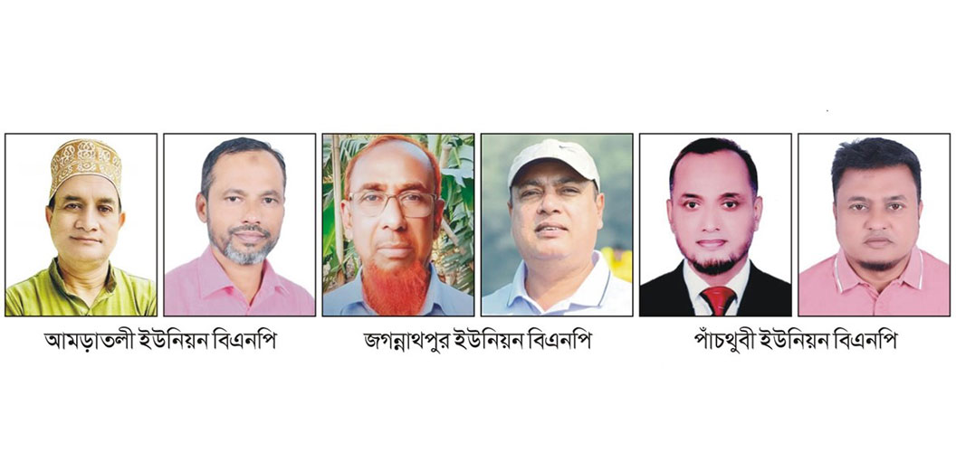  সদর উপজেলার তিন ইউনিয়ন বিএনপির কমিটি গঠন
