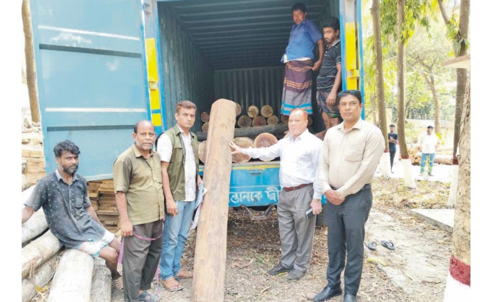  কুমিল্লায় বিপুল  পরিমাণ চোরাই কাঠ জব্দ