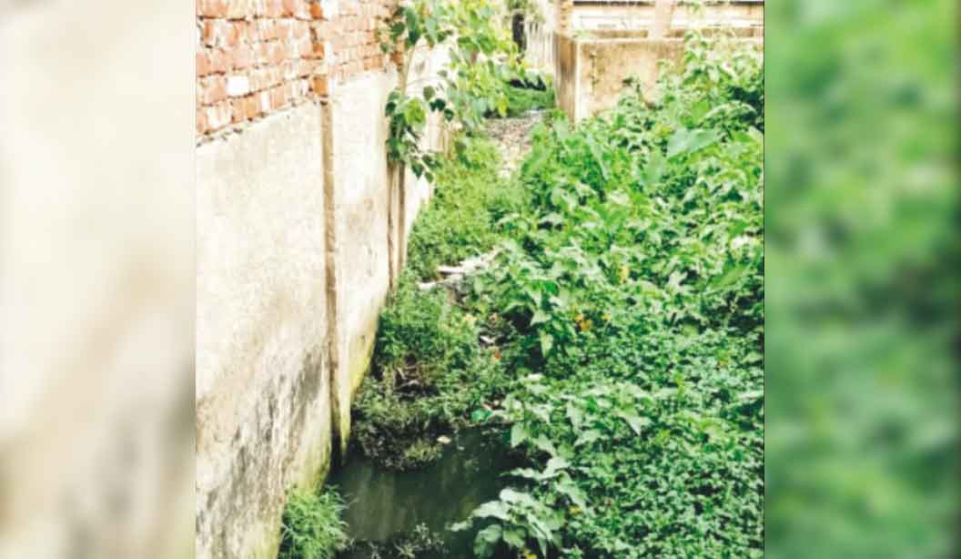  শহরতলির ছায়াবিতান এলাকায় জলাবদ্ধতা