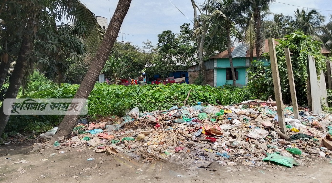 ডেঙ্গুতে রেডজোন দাউদকান্দি ৫ দিনে আক্রান্ত ১১শ