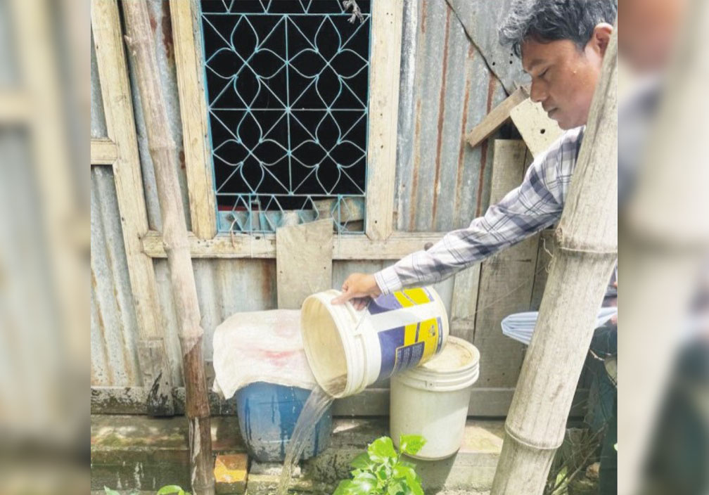 ঘরেই জন্মাচ্ছে এডিস মশার লার্ভা