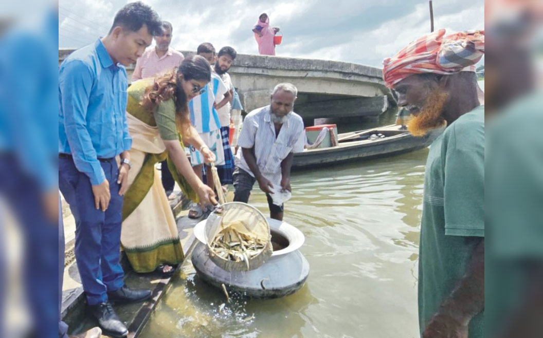   তিতাসে ১৬ হাজার দেশীয়  মাছের পোনাজলাশয়ে অবমুক্ত 