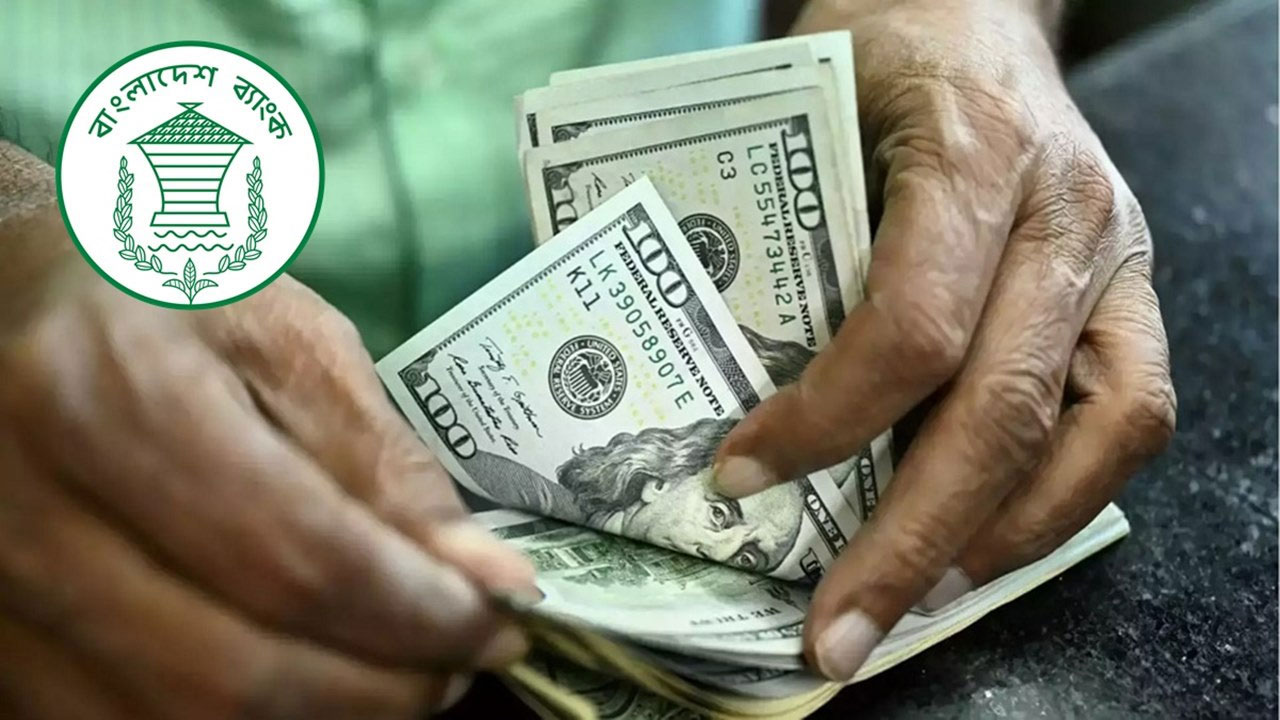   আন্তর্জাতিক মানের ভোট করতে  ৪০ লাখ ইউরো দেবে ইইউ